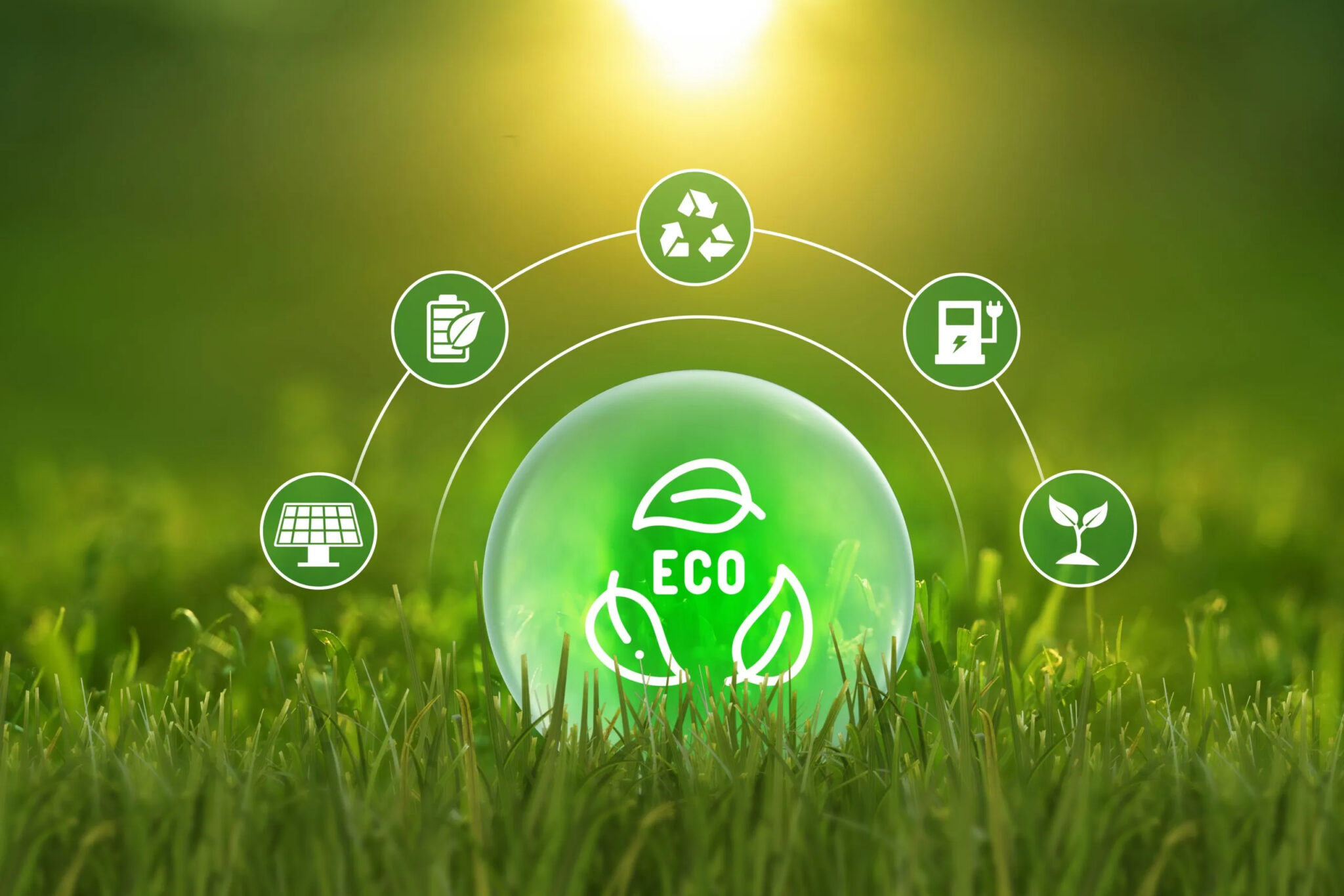 Services eco friendly comitment